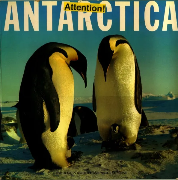 Antarctica - A Portrait In Wildlife And Nature Sound
