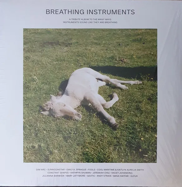 Breathing Instruments