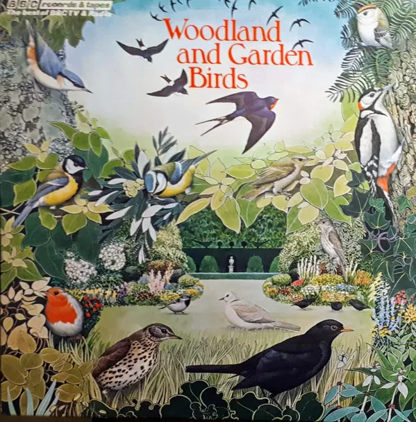 Woodland And Garden Birds