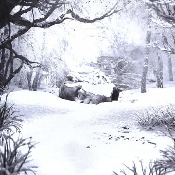 SZNZ: WINTER