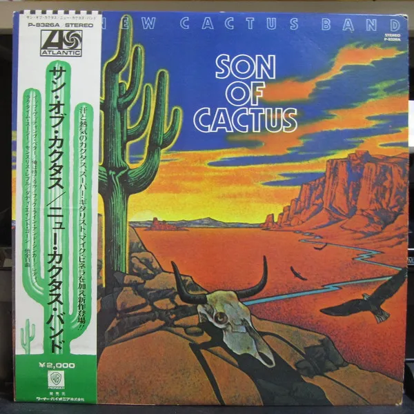 The New Cactus Band