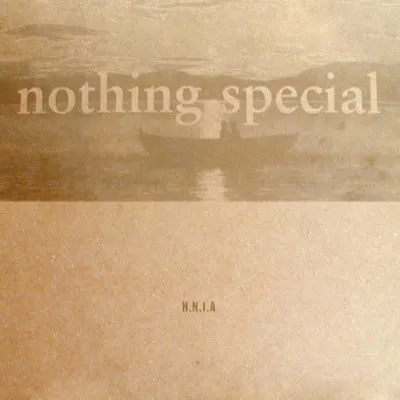 Nothing Special