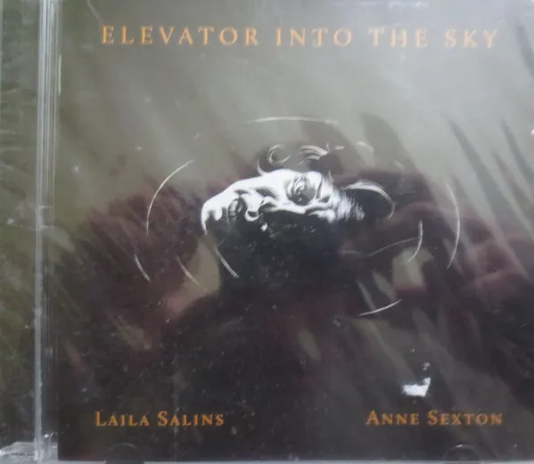 Elevator Into The Sky