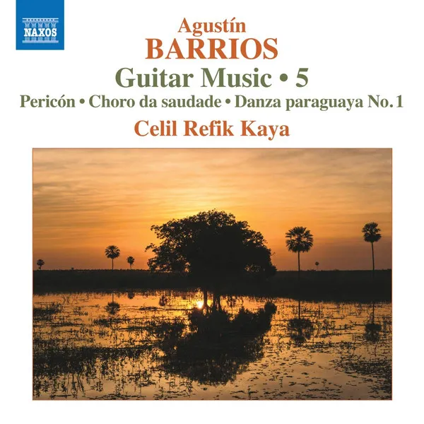Guitar Music 5
