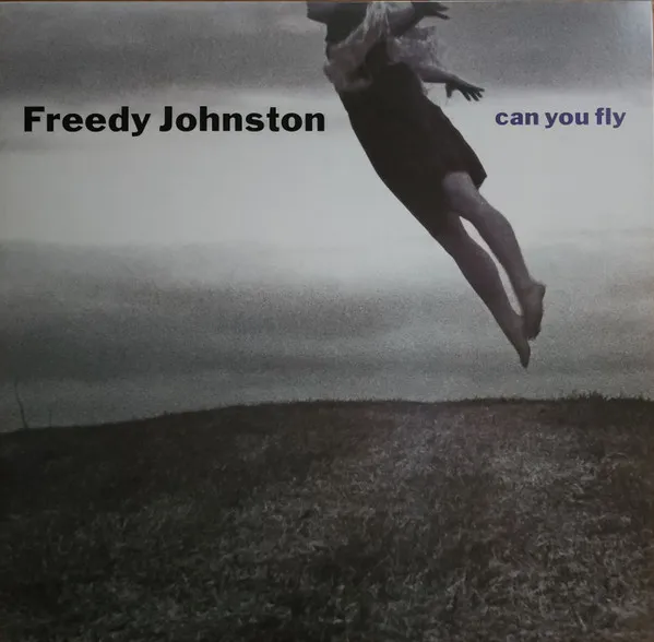 Can You Fly