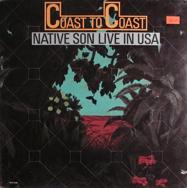 Native Son