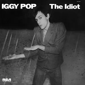 The Idiot (180g)
