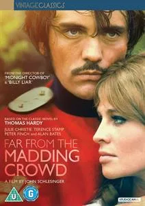 Far From the Madding Crowd