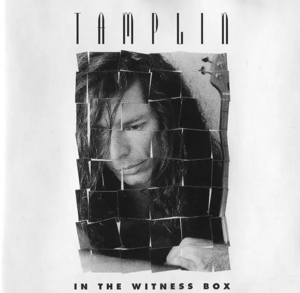In The Witness Box