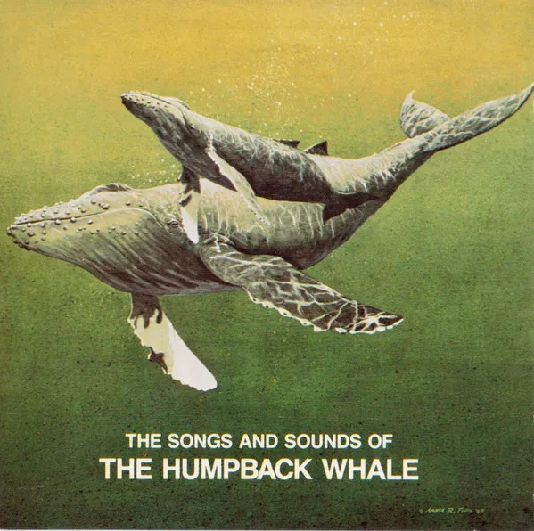 Songs And Sounds Of The Humpback Whale