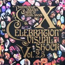 "Celebration" Visual Shock Vol. 2.5