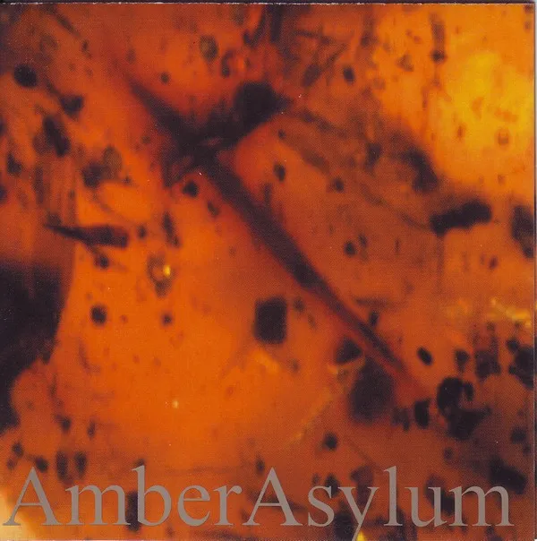 Frozen In Amber