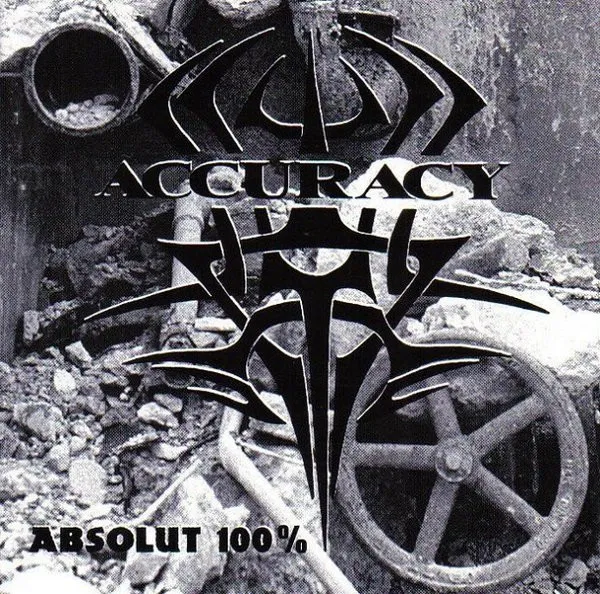 Absolut 100%