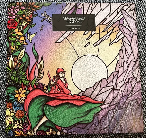 BLOOM CLEAR LTD.