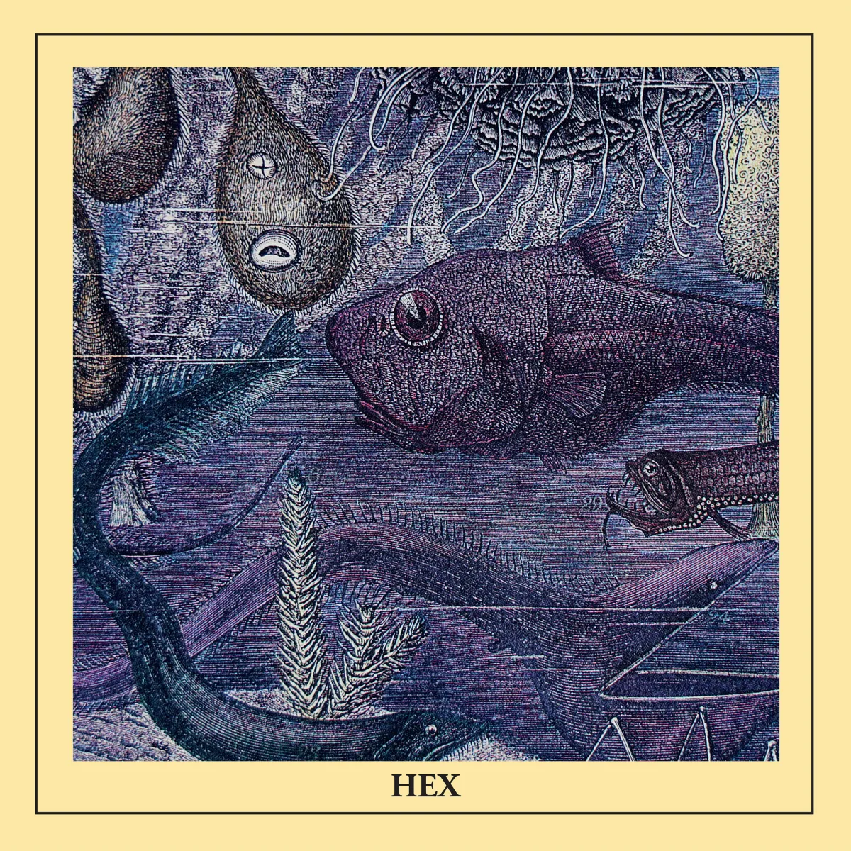 HEX