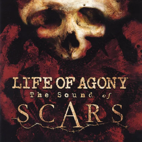 THE SOUND OF SCARS