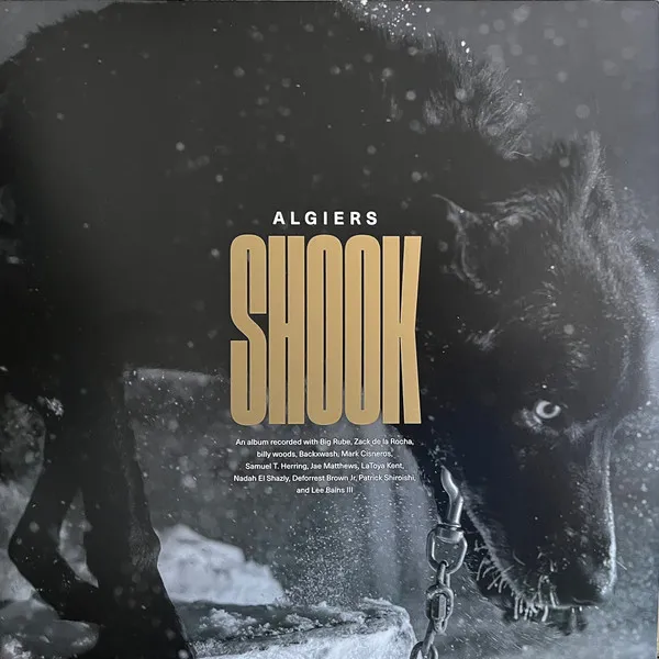 Shook (Limited Indie Edition) (Gold Vinyl)