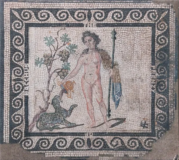 The Frenzy Of Bacchus