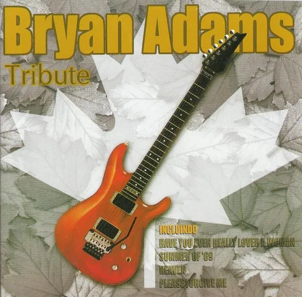 Bryan Adams Tribute