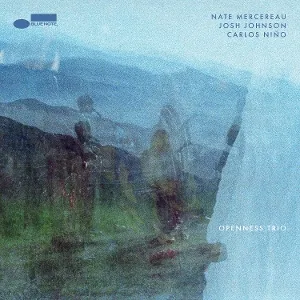 Mercereau, Nate & Josh Johnson & Carlos Nino