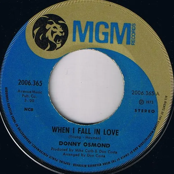 When I Fall In Love