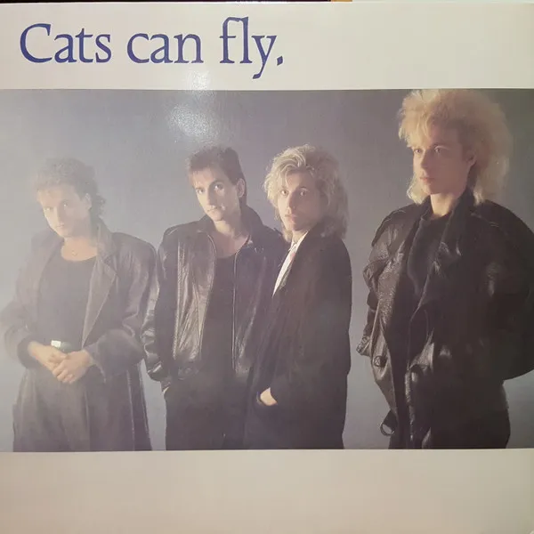 Cats Can Fly