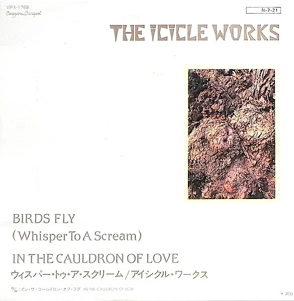 Birds Fly (Whisper To A Scream) / In The Cauldron Of Love