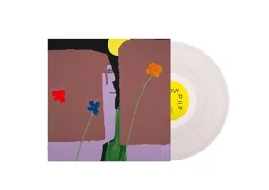 Slow Pulp
