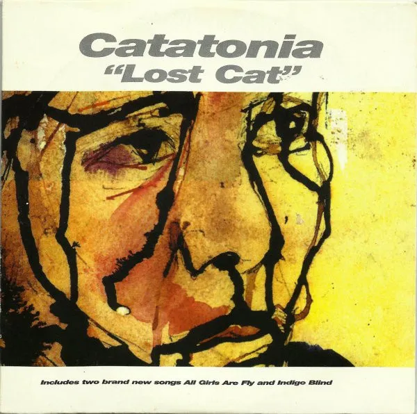 Lost Cat