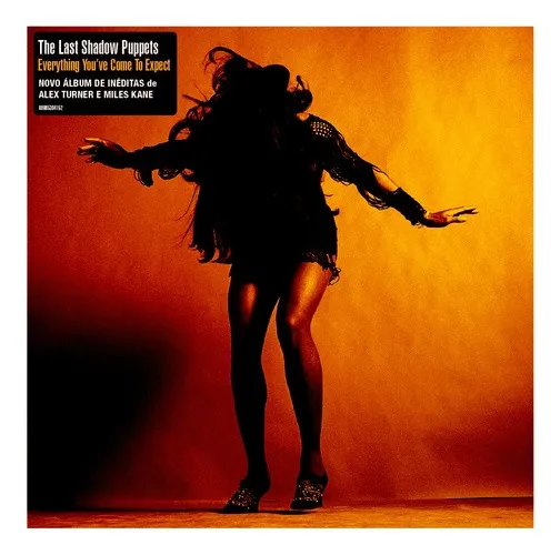 The Last Shadow Puppets