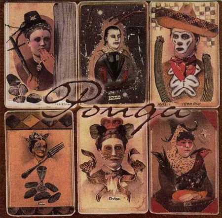 Ponga