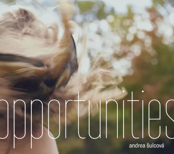 Opportunities