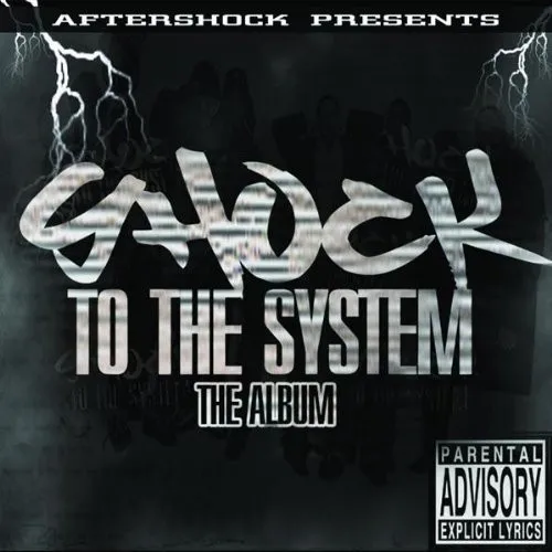 Shock To The System The Album
