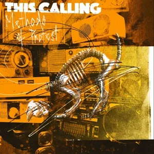 This Calling