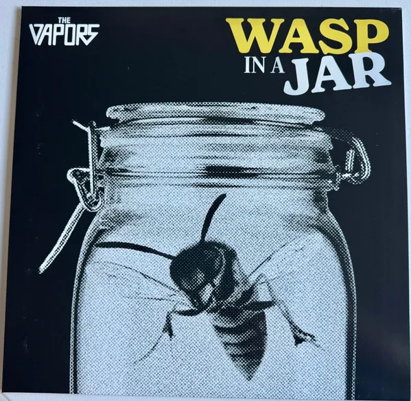 Wasp In a Jar