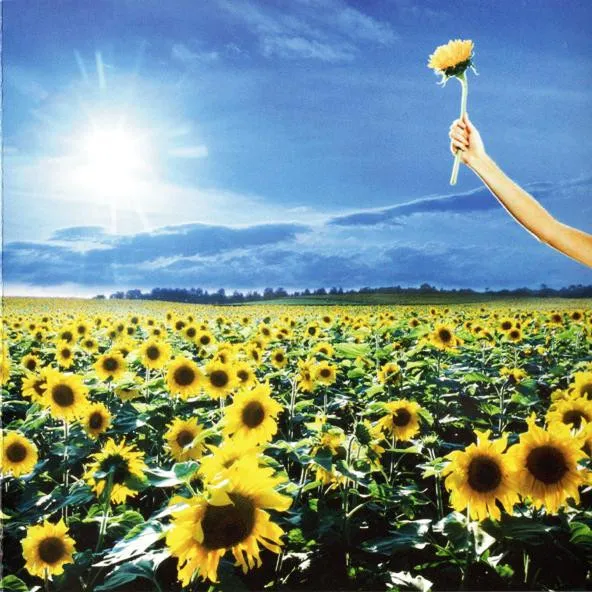 THANK YOU - GREATEST HITS