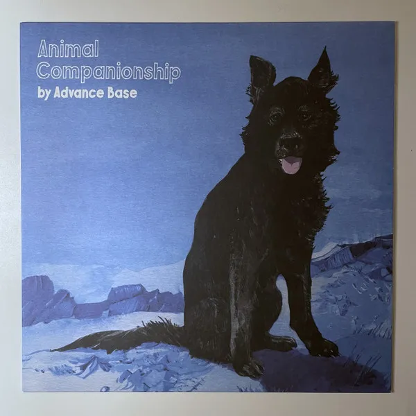 ANIMAL COMPANIONSHIP