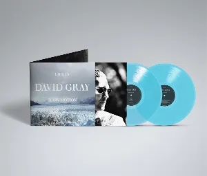 Life In Slow Motion (20th Anniversary) (Limited Deluxe Edition) (Glacial Blue Vinyl)