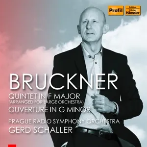 Streichquintett F-Dur für großes Orchester