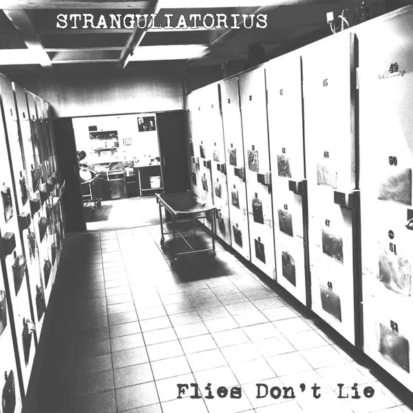 Flies Don't Lie