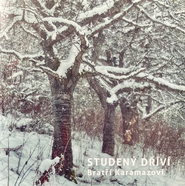 Studený dříví