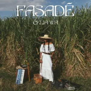 Fasade (180g)