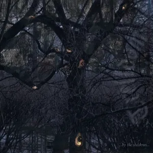BY THE SHADOWS