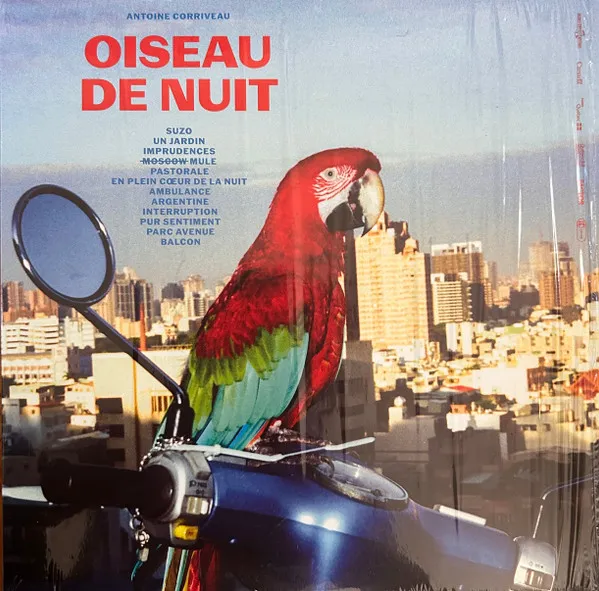 Oiseau de nuit