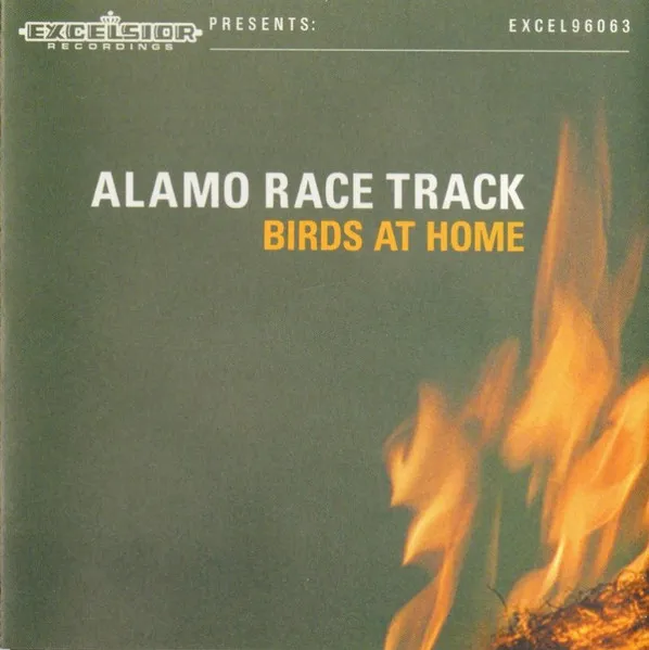 Birds At Home