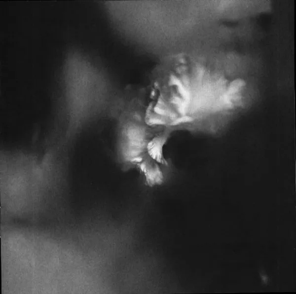 HOLDING ABSENCE
