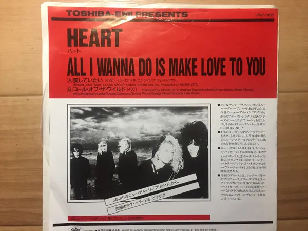 All I Wanna Do Is Make Love To You (Edit)