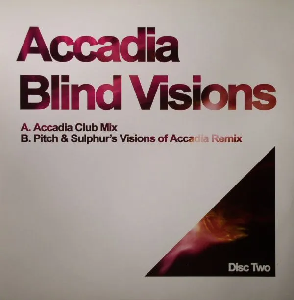 Blind Visions
