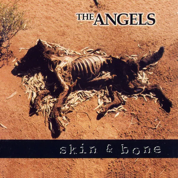 Skin & Bone