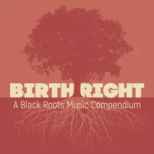 Birthright: a Black Roots Music Compendium
